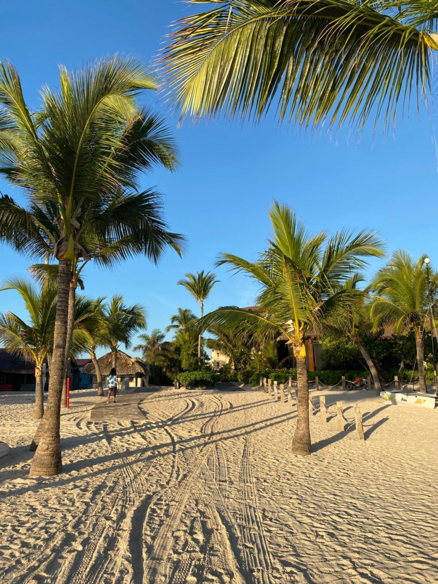 Paradise Close To The Beach Pool Free Parking,Wifi- Punta Cana Exteriör bild